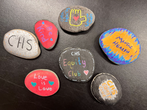 Painted rocks made by participating people at different events held by Equity club throughout the year.
