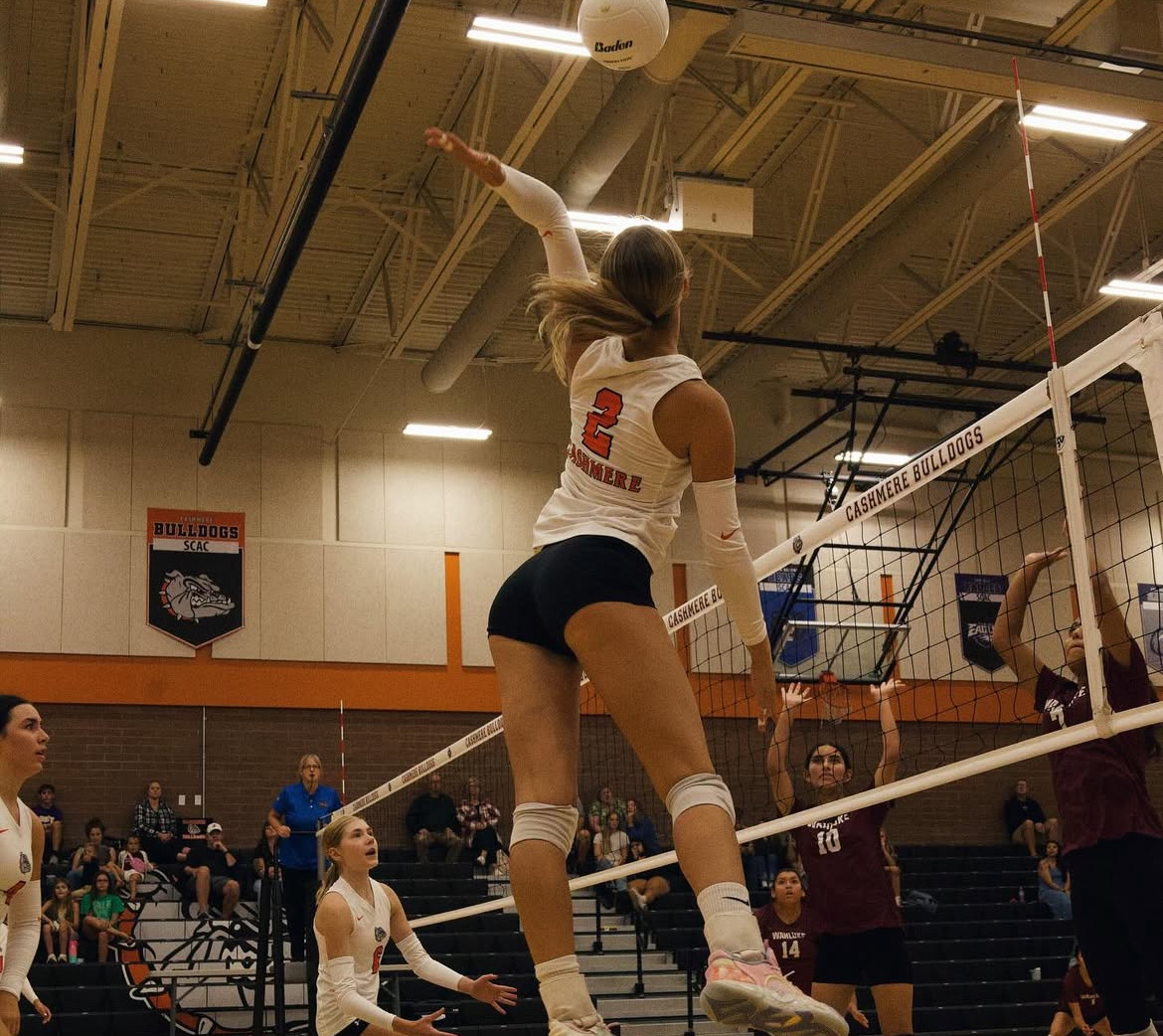 Junior 2-time SCAC player of the year spikes the ball as she leads the Bulldogs to third place finish.