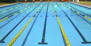 The typical swimming pool Bradley Paine dives into every day.