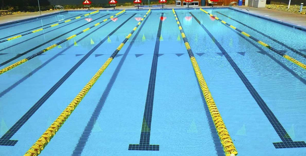 The typical swimming pool Bradley Paine dives into every day.